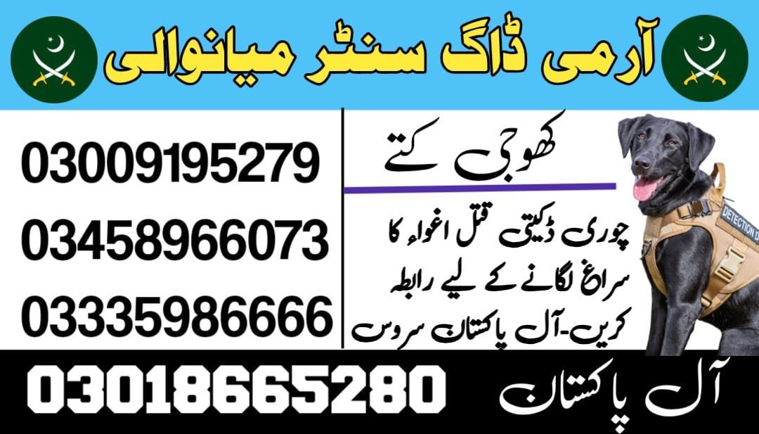 Army Dog Center Mianwali | 03458966073