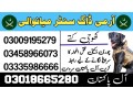 army-dog-center-mianwali-03458966073-small-0