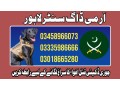 army-dog-center-lahore-03458966073-khoji-kuttay-small-0