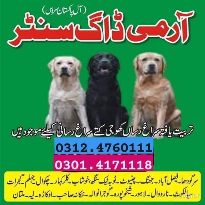 Army Dog Center Rawalpindi 03014171118