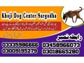 army-dog-center-sargodha-03018665280-khoji-dog-service-sargodha-small-0