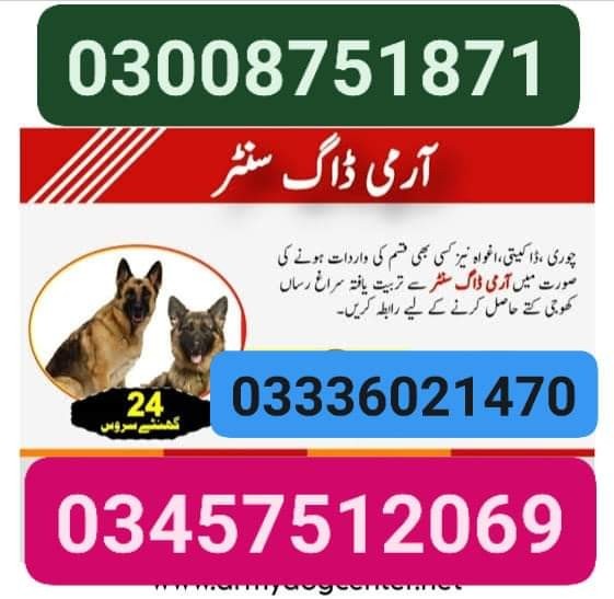 Army dog center swabi 03336021470