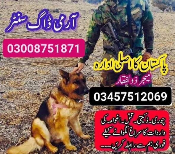 Army dog center kohat 03336021470