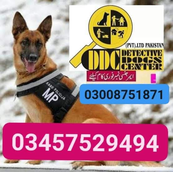 Army dog center attack 03008751871