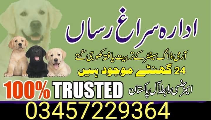 Army dog center mansehra 03455644331