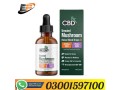 relax-blend-mushroom-tincture-cbn-cbd-price-in-pakistan-03001597100-etsypakistancom-small-0