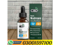 relax-blend-mushroom-tincture-cbn-cbd-price-in-pakistan-03001597100-etsypakistancom-small-1