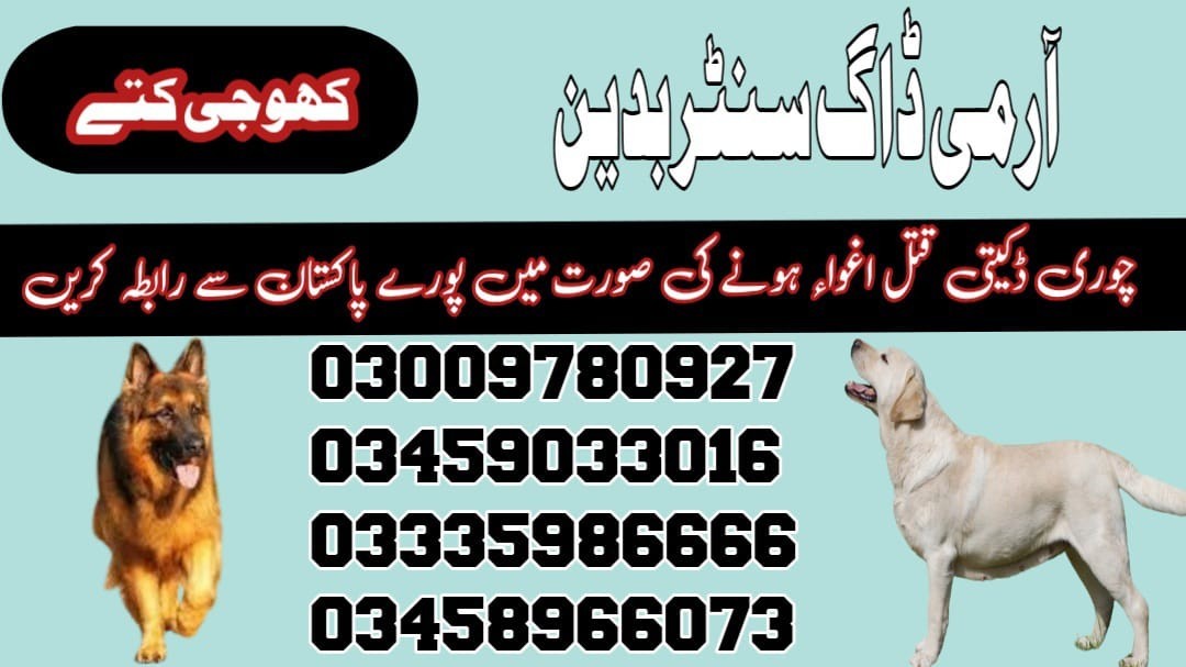 Army dog center Badin 03458966073 | Khoji Kuttay in Badin