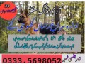 army-dog-center-attock-city-03124760111-small-0