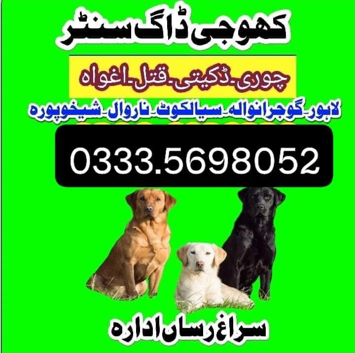 Army dog center attock 03014171118