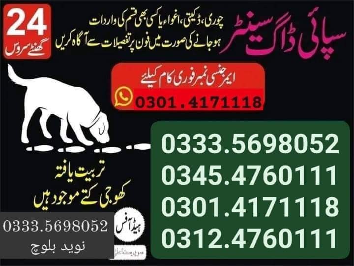 Army dog center murree 03335698052