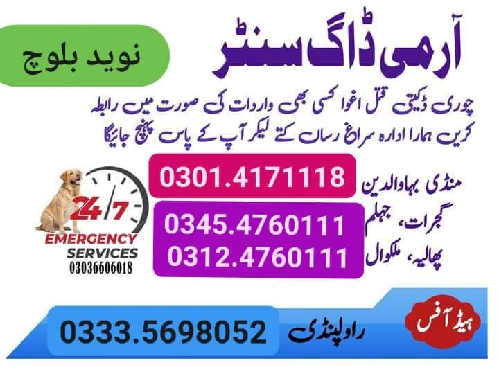 Army Dog Center Karachi 03124760111