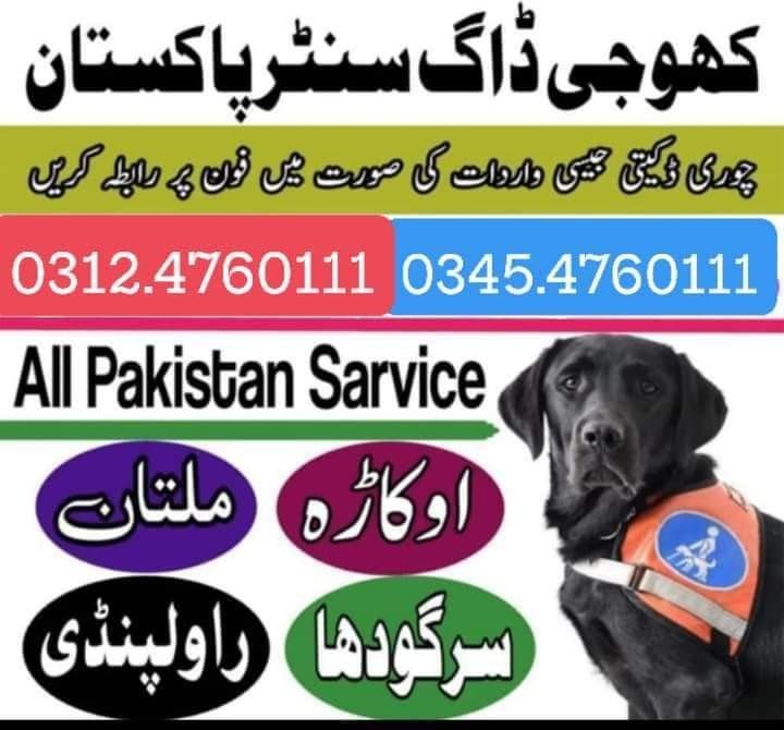 Army Dog Center Karachi 03014171118