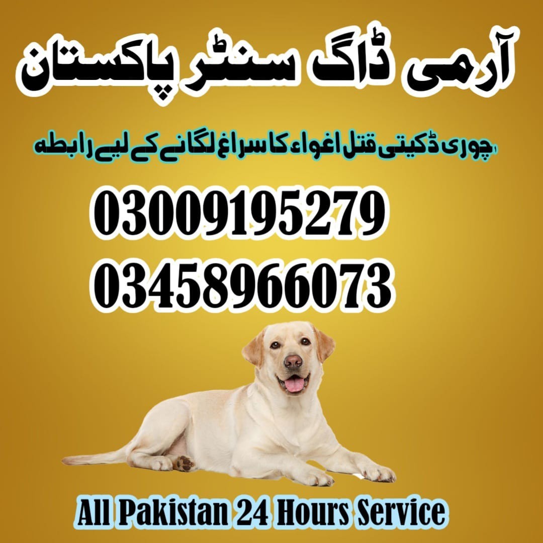 Army Dog Center Wah Cantt | 03458966073