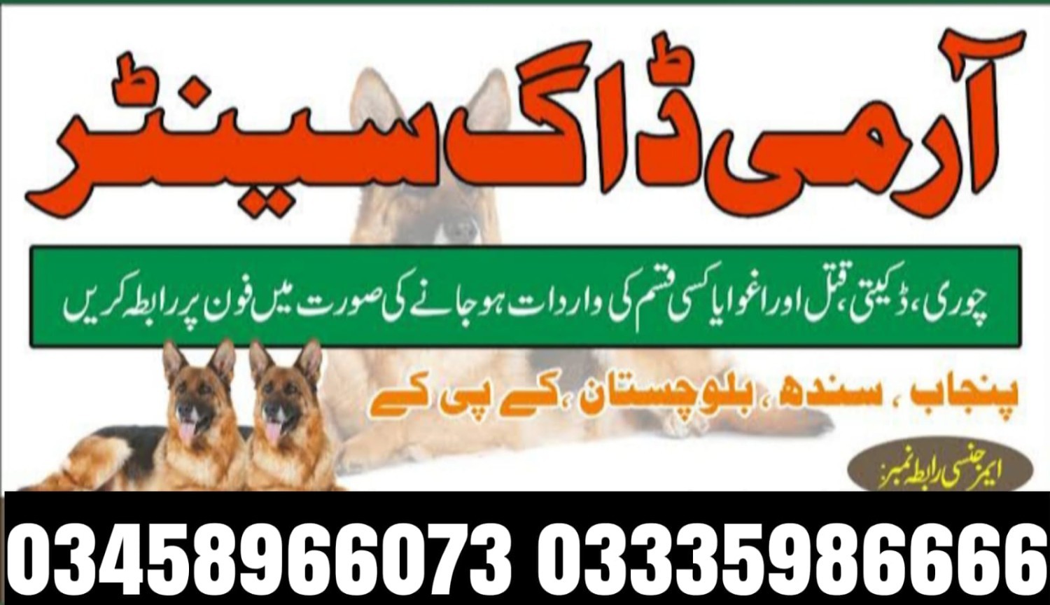 Army Dog Center Burewala 03458966073