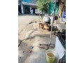 rented-shop-for-sale-in-model-town-shop-for-sale-in-lahore-model-town-small-4