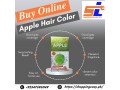 apple-hair-color-price-in-pakistan-923476961149-small-0
