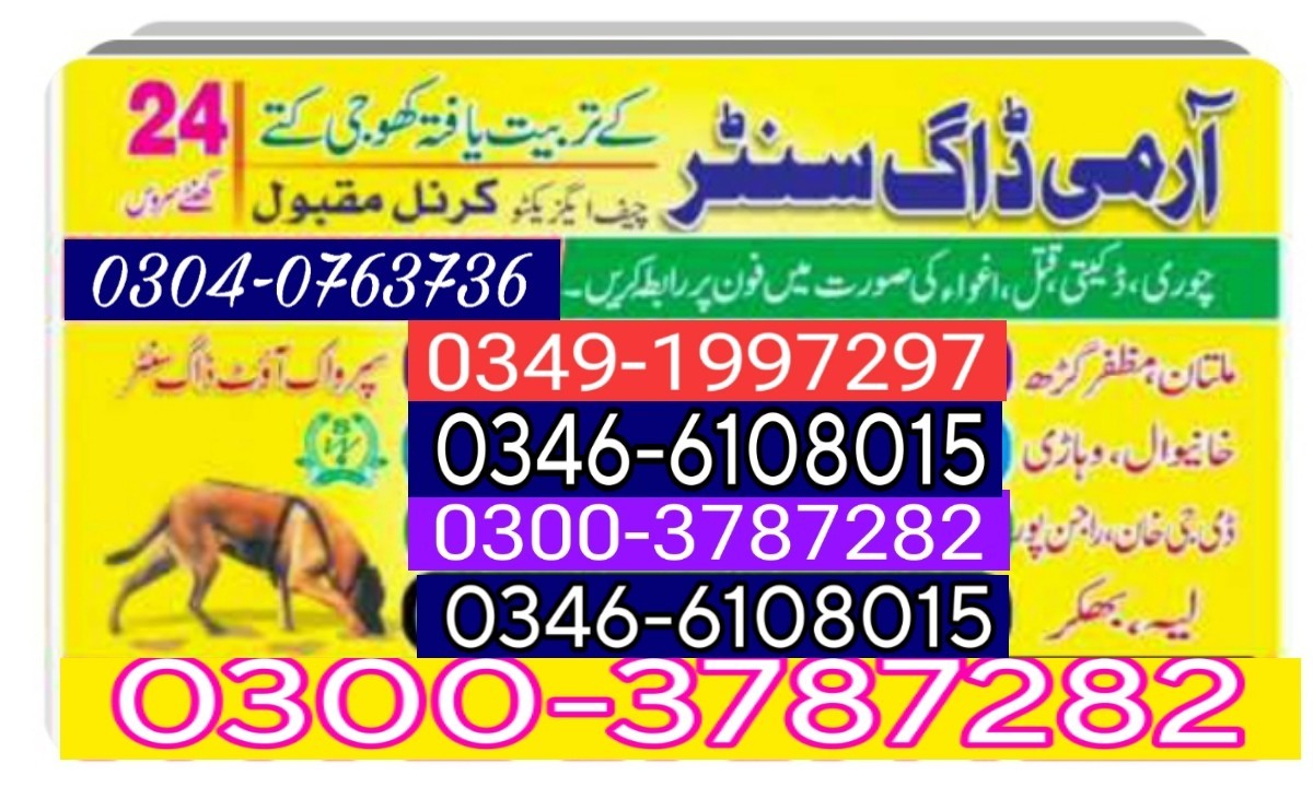 Army dog centre Karachi 03003787282