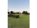 commercial-building-for-sale-building-for-sale-in-lahore-small-2