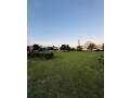 commercial-building-for-sale-building-for-sale-in-lahore-small-3