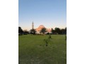 commercial-building-for-sale-building-for-sale-in-lahore-small-4