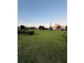 commercial-building-for-sale-building-for-sale-in-lahore-small-1