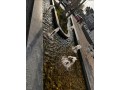 office-for-sale-office-for-sale-in-rawalpindi-gt-road-small-3