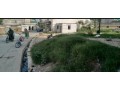 office-for-sale-office-for-sale-in-rawalpindi-small-3
