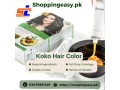 koko-hair-color-price-in-pakistan-03476961149-small-0