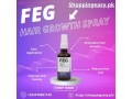 feg-hair-growth-spray-price-in-pakistan-03476961149-small-0