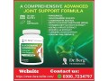 dr-berg-glucosamine-chondroitin-msm-in-pakistan-03007234797-100-orignal-small-0