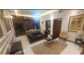 appartment-for-rent-in-shah-jamal-lahore-small-2