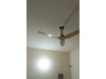 flat-for-rent-in-architects-engineers-society-in-lahore-small-3