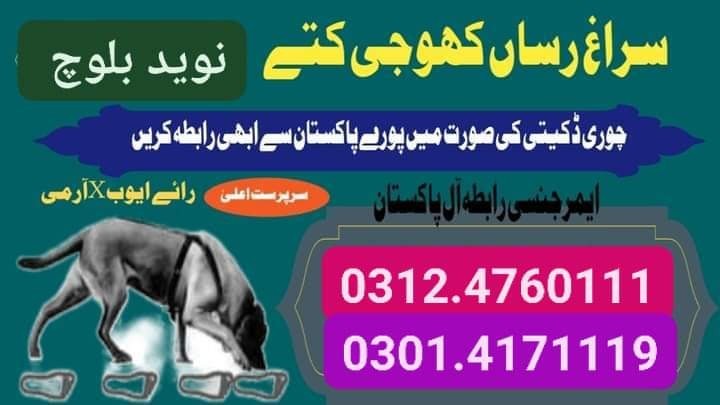 Army Dog Center Bahawalnagar 03335698052