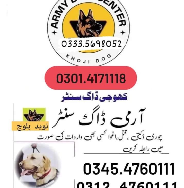 Army Dog Center 03335698052