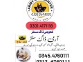 army-dog-center-03335698052-small-0