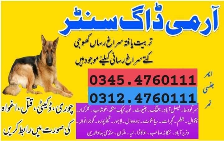 Army Dog Center Sialkot 03335698052