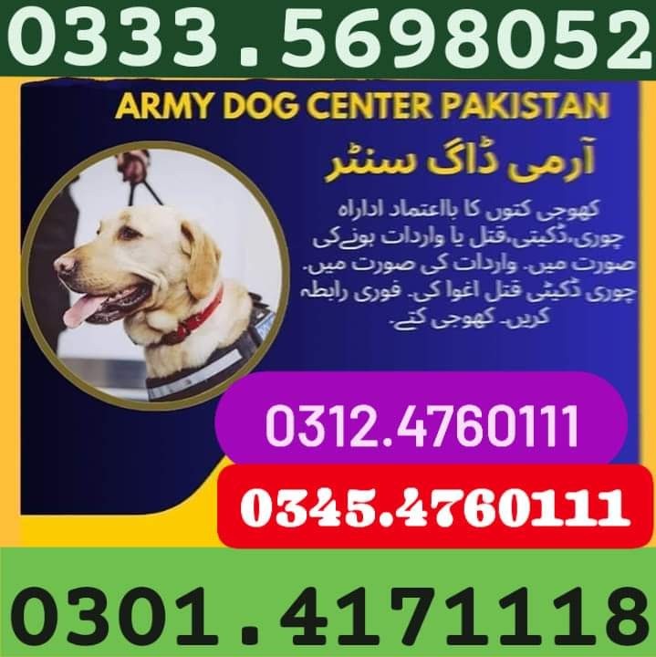 Army Dog Center Islamabad 03454760111