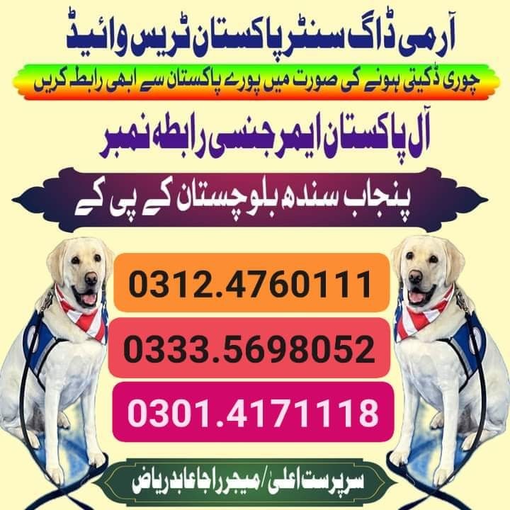 Army Dog Center Lahore 03454760111