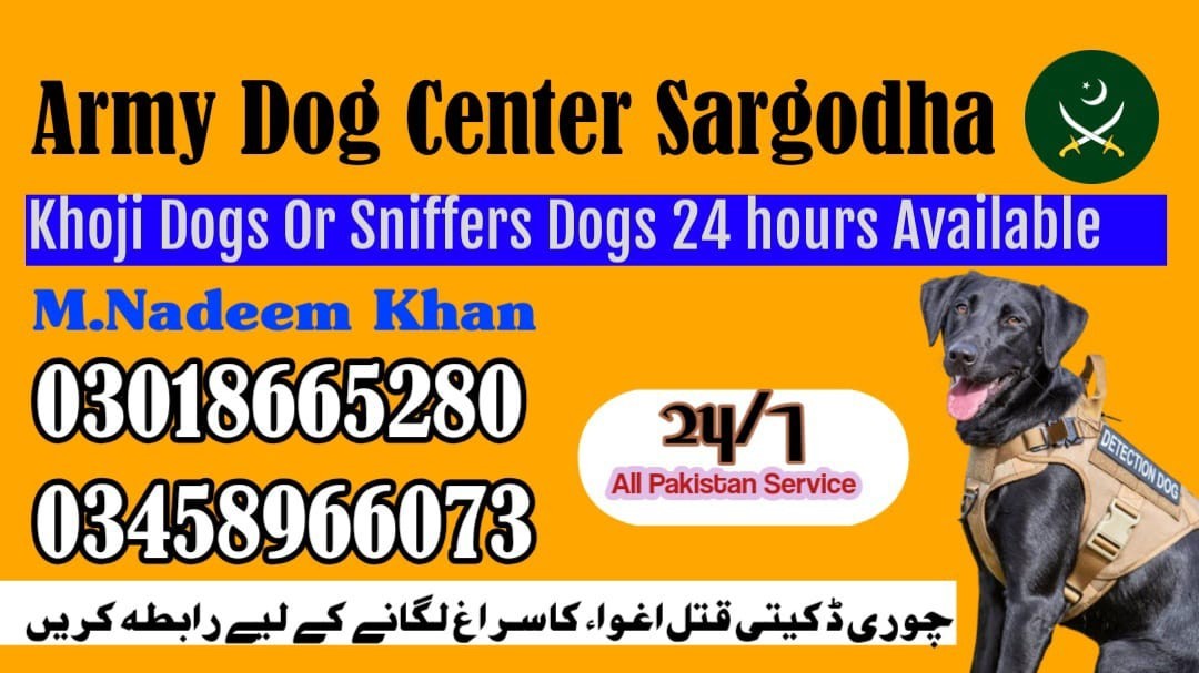 Army dog center Sargodha 03009780927 | Trained Sniffers Dogs