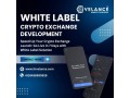 what-kind-of-customization-and-branding-options-are-available-with-white-label-crypto-exchange-software-small-0