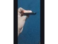 iphone-15-non-pta-for-sale-in-rawalpindi-small-2