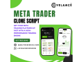 metatrader-clone-script-by-hivelance-enter-the-online-trading-market-fast-small-0