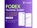 forex-trading-script-launch-your-forex-trading-platform-at-low-cost-small-0