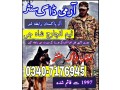 army-dog-center-rawalpindi-03016244888-khoji-dogs-khoji-kutta-contact-number-small-0