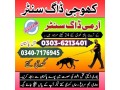 army-dog-center-faisalabad-03036213401-khojikutta-contact-number-small-0
