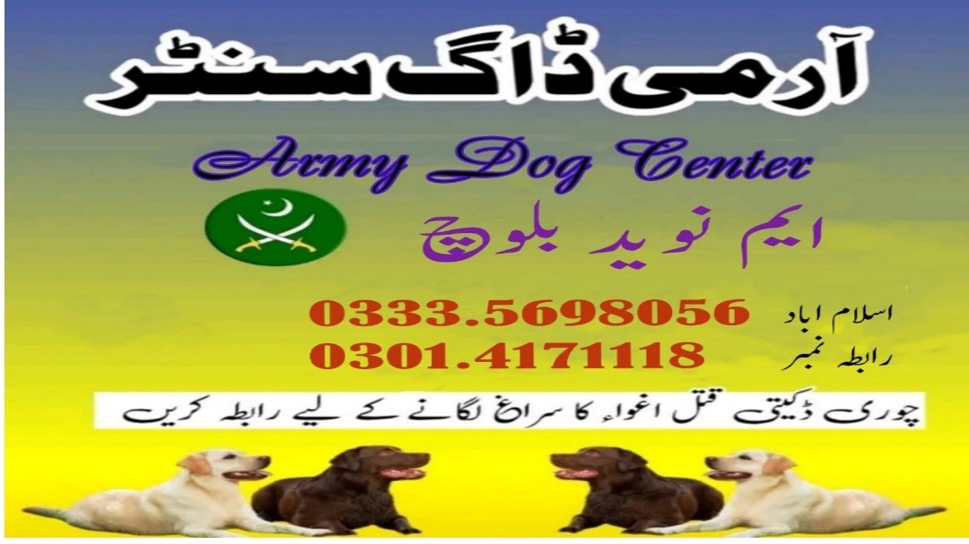 Army Dog Center Jauharabad 03335698052