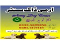 army-dog-center-jauharabad-03335698052-small-0