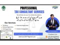 consultancy-services-in-blue-area-islamabad-small-1