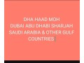 consultancy-services-in-dha-defence-lahore-small-0